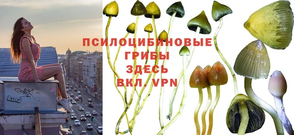 гидра Арсеньев